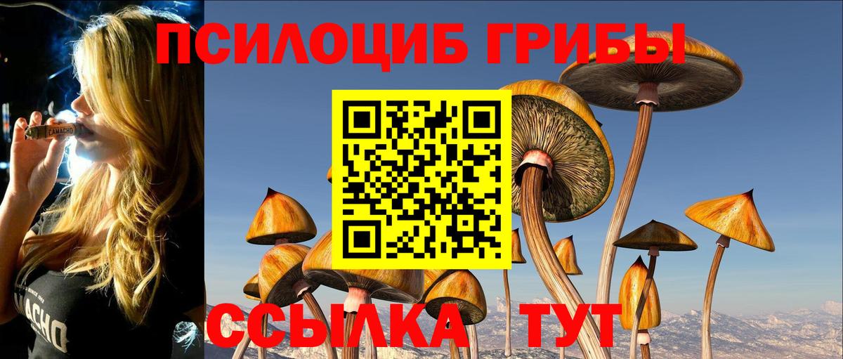 Галлюциногенные грибы MAGIC MUSHROOMS  Вход с VPN  Можга 