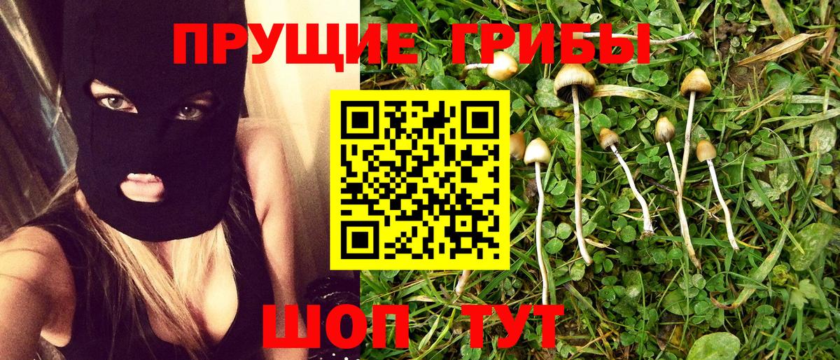 Галлюциногенные грибы прущие грибы Можга